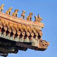 故宫年票抢票有多难？黄牛代抢背后的真相与避坑指南