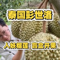 泰国北部的一个小榴莲村，藏着各种各样的隐藏品种，这个人妖榴莲，大家见过吗？视频里开的那颗还是嫩果，嫩果都好吃，挂老应该会很惊艳！