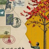《给阿嬷的情书》教会我们——写作其实可以编