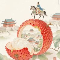 《长安全的荔枝：别让改编磨平了原著的锋芒》