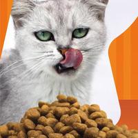 绝育猫3月胖超15%？这样控重才科学