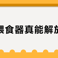 自动喂食器真能解放双手？三类家庭慎入，选错反增焦虑
