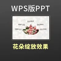 PPT花朵绽放效果制作教程:创意绽放动画详解