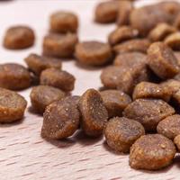 换包装后猫不吃了?93%挑食猫接受的新款妙修,适口性真相在这