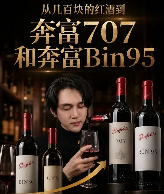 红葡萄酒横向评测：从200元到奔富葛兰许的真实口感差异