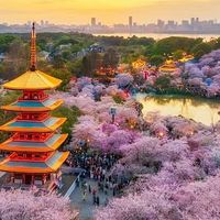 武汉长租住宿实测｜月租避坑！真实数据对比告别租房套路