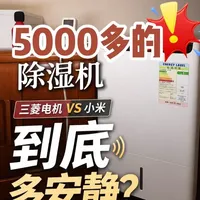 三菱电机除湿机静音性能实测与选购背景分析