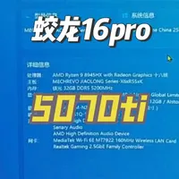 机械革命蛟龙16 Pro（8945+5070Ti）性能调校指南