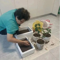 废弃饮料瓶改花盆？三月烂根率超六成，这波环保创意真该踩刹车了