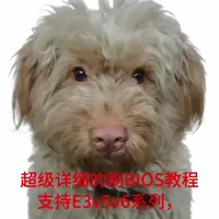 华硕H110M-F主板刷BIOS支持E3 V5/V6全流程教程