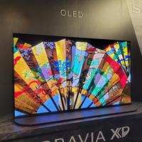 同价位选东芝MiniLED还是索尼OLED？客厅光线复杂、有娃家庭闭眼入MiniLED，暗室影迷死磕OLED