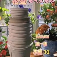新手阳台养花：高性价比塑料花盆选购指南