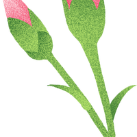女神节特辑：你穿高跟鞋的脚，正在悄悄“报警”？