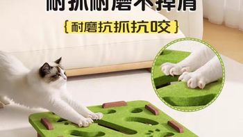 90%网红猫玩具暗藏隐患！3类高危款直接拉黑，安全玩具只认这2种