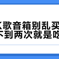 户外K歌音箱别乱买，一年用不到两次就是吃灰