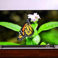 两万块的千级分区Mini LED，画质竟不如一万五的五百区？