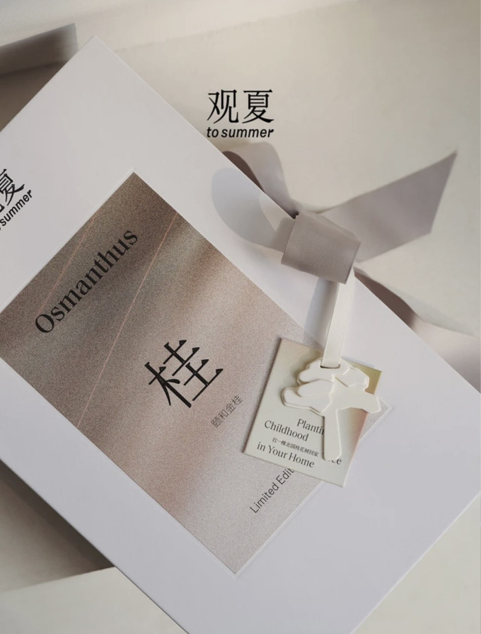观夏装饰摆件