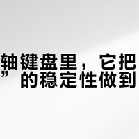 千元磁轴键盘里，它把“开箱即封神”的稳定性做到了极致