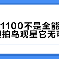 尼康P1100不是全能旅行机，但拍鸟观星它无可替代