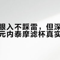 新手闭眼入不踩雷，但深烘党慎选：百元内泰摩滤杯真实体验