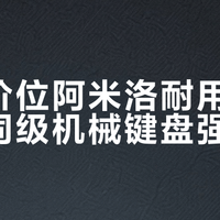 千元价位阿米洛耐用性并不比同级机械键盘强