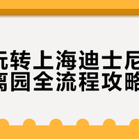 高效玩转上海迪士尼:入园到离园全流程攻略