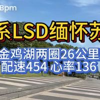 金鸡湖两圈26公里LSD，配速454，心率136，有氧匀速跑。路过金鸡湖大桥，缅怀死去的苏马，甚至还看到两个穿着去年苏马衣服的跑友，苏州跑马人太难了！