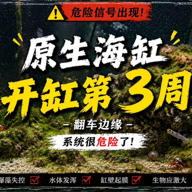 《海缸原生缸开缸——第三周》接近翻车的边缘，感觉心累。
