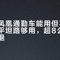千元内凤凰通勤车能用但不好用：短途平坦路够用，超8公里有坡就劝退