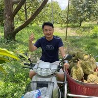 中国人一张嘴,正在重塑整个东南亚榴莲版图。