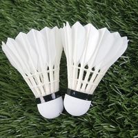 羽毛球降价为何难？产业链、品牌策略与消费心理的三重博弈