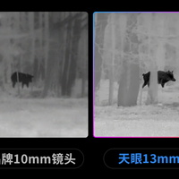 四千块的热成像仪连十米外的鱼都看不清？夜钓党别再被“透视找鱼”忽悠了