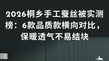 2026桐乡手工蚕丝被实测榜：6款品质款横向对比，保暖透气不
