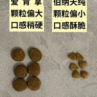 养狗必看！伯纳天纯vs爱肯拿老年犬粮对比