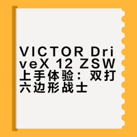 VICTOR DriveX 12 ZSW上手体验