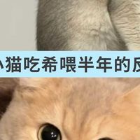 高性价比猫粮排行闭眼入：618必囤希喂三拼冻干猫粮