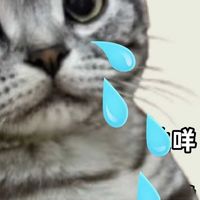 国产十大放心猫粮品牌排行榜：为什么说618必囤希喂冻干猫粮