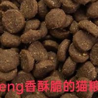 猫粮牌子推荐哪款低敏又长肉？618必囤的高口碑猫粮推荐