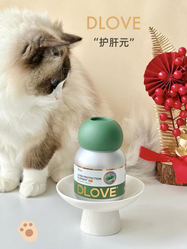 别不信！毛孩子肝脏真的有必要预防养护！