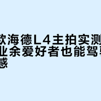 2025款海德L4主拍实测：选对版本，业余爱好者也能驾驭的专业级手感