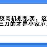 200元绞肉机别乱买，这款全陶瓷四碗三刀的才是小家庭真香选择