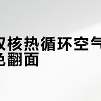 松下双核热循环空气炸锅真能免翻面？90%的人被营销话术误导了