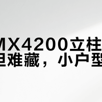 领势MX4200立柱设计好看但难藏，小户型慎入