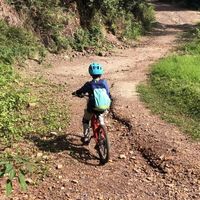 几百块的凤凰山地车，只适合压马路？轻度越野实测真相