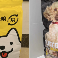 2026年618宠物食品推荐，狗粮选啥？希喂和纽顿狗粮谁更划算？