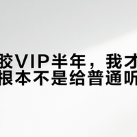 开了黑胶VIP半年，我才意识到：云村根本不是给普通听众建的
