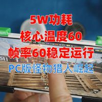跟涛哥一起低功耗60帧运行PC版怪猎崛起！