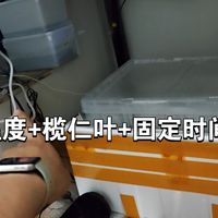 果核(养龟15天,总结下来,不要让乌龟应激)