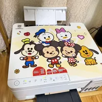 爱普生335X安全下车
