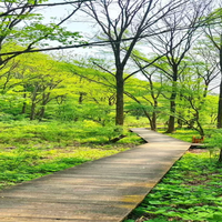 亚布力锅盔山景区5月1日开业啦：线路·游玩·项目全攻略
